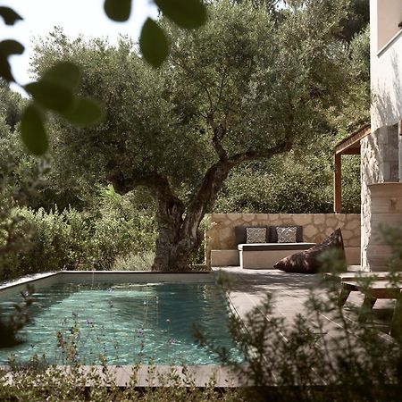 Zayn Luxury Villas, A Serene Escape, By Thinkvilla Tsilivi  Exterior foto